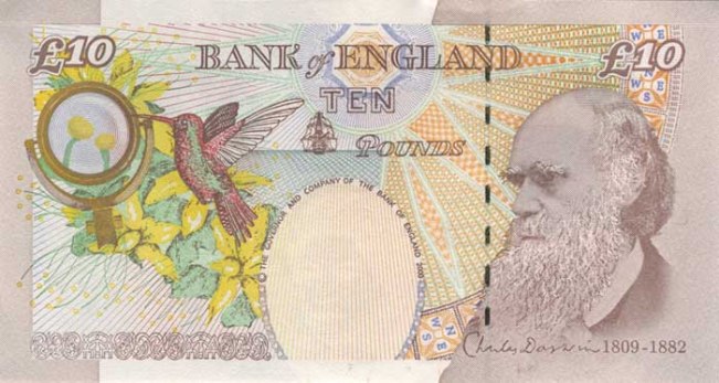 Фунт стерлингов Соединенного королевства. Купюра номиналом в 10 GBP, реверс.