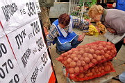 Власти Москвы ударят картошкой по ценам