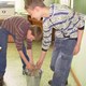 www.pmoney.ru: Должны ли школьники мыть классы?