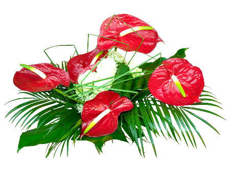 Dianthus pratensis. 13 розового цвета. Лепестковая палка. Цветочки 23. Фетр для рукоделия.