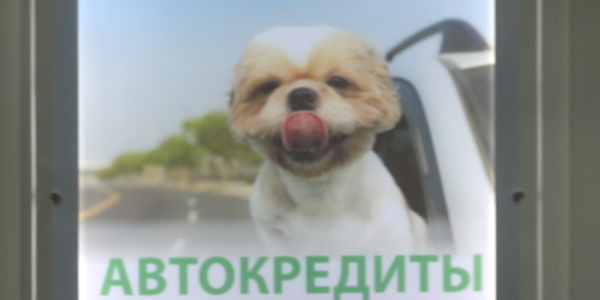 Артем Геодакян/ТАСС Артем Геодакян/ТАСС