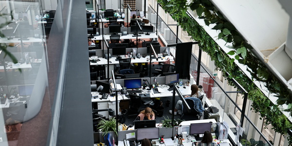 �������� ������ ���������� ����������� �����������