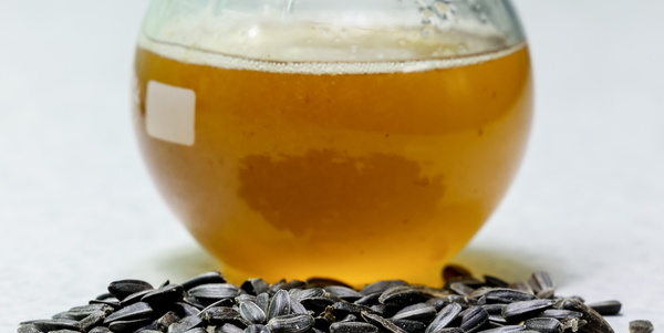 Алексей Коновалов/ТАСС Алексей Коновалов/ТАСС