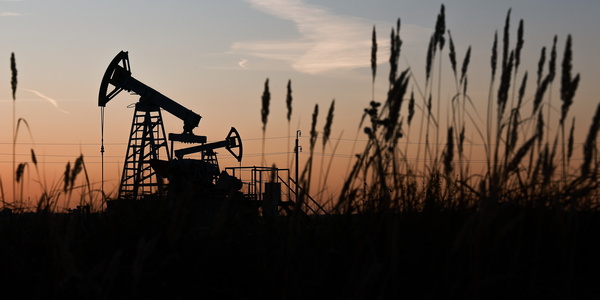 Егор Алеев/ТАСС Егор Алеев/ТАСС